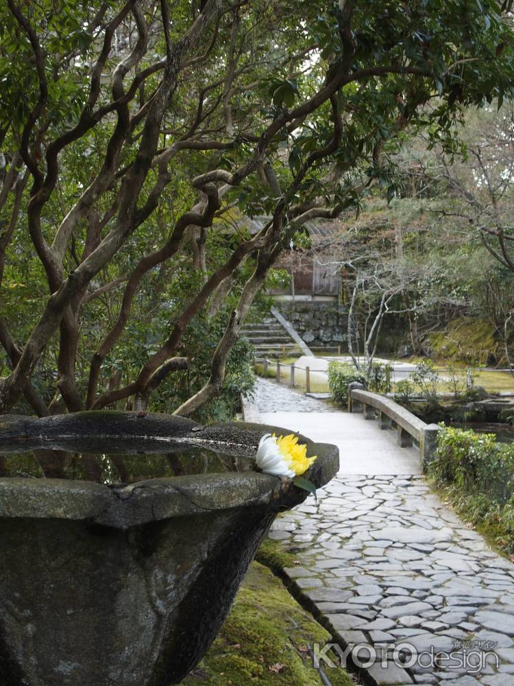 2020　新春　法然院　7