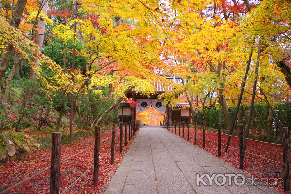 秋色の薬医門参道