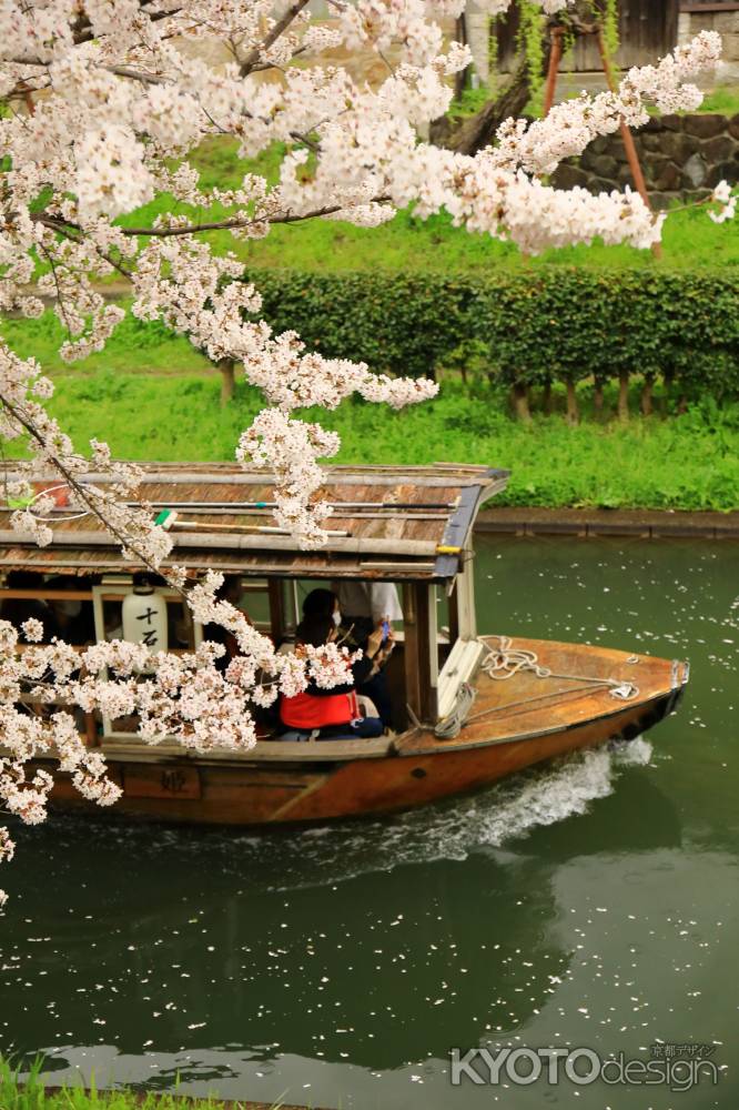 伏見散策　十石船①