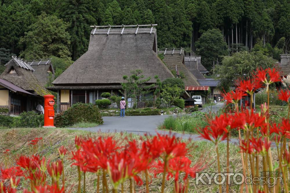 秋の美山かやぶきの里