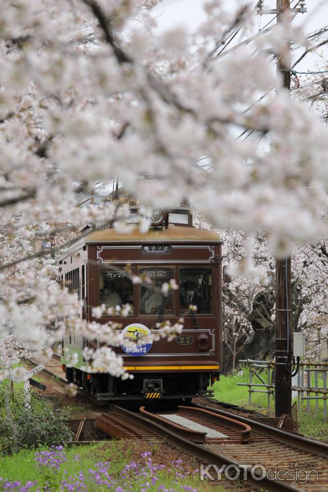 桜電車