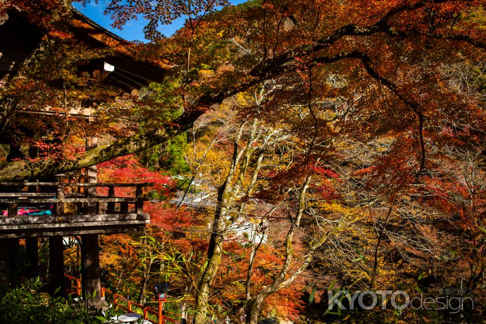 貴布袮総本宮 貴船神社
