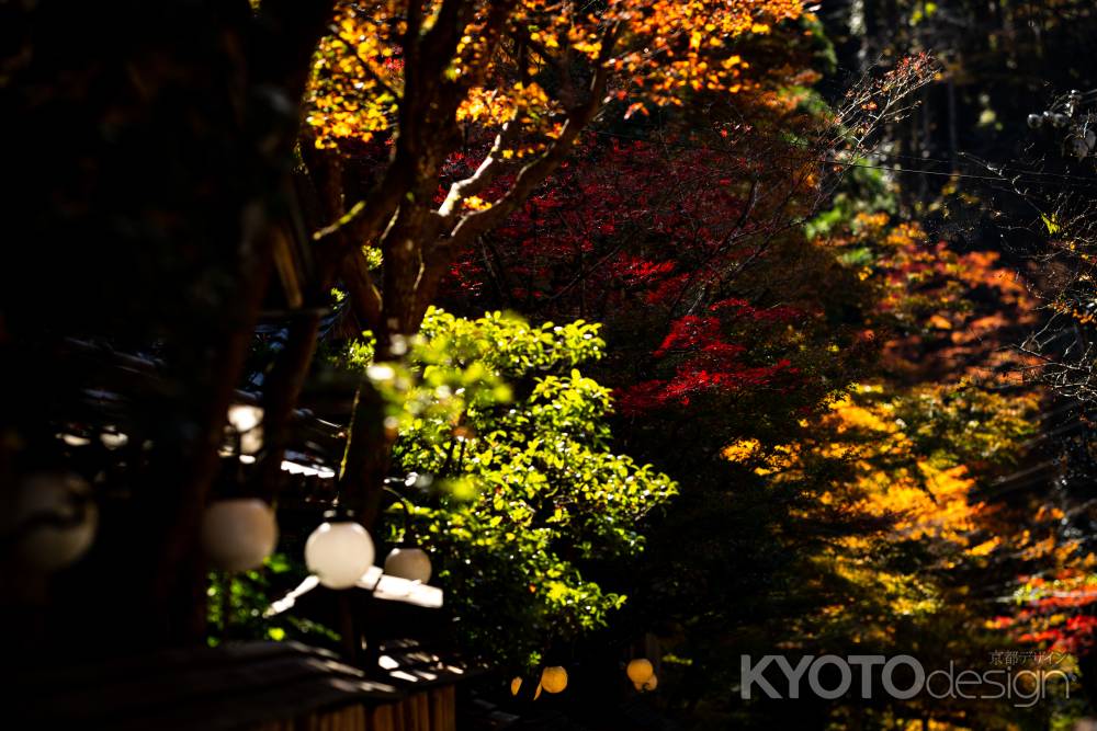 貴船紅葉2020