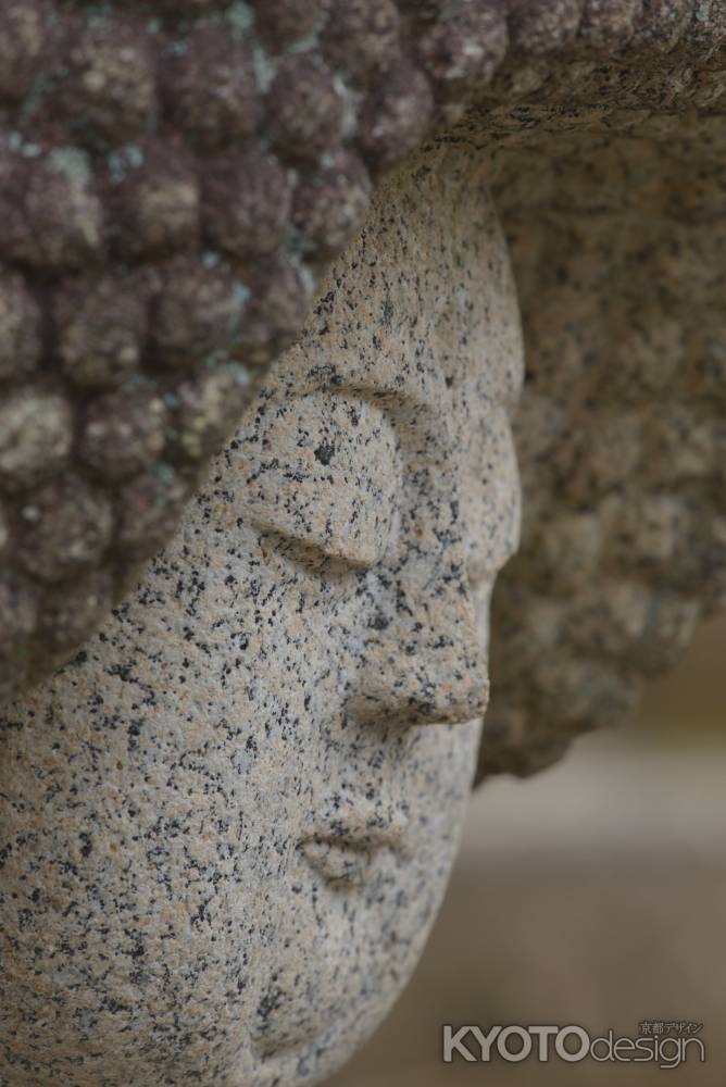 金戒光明寺のアイドル