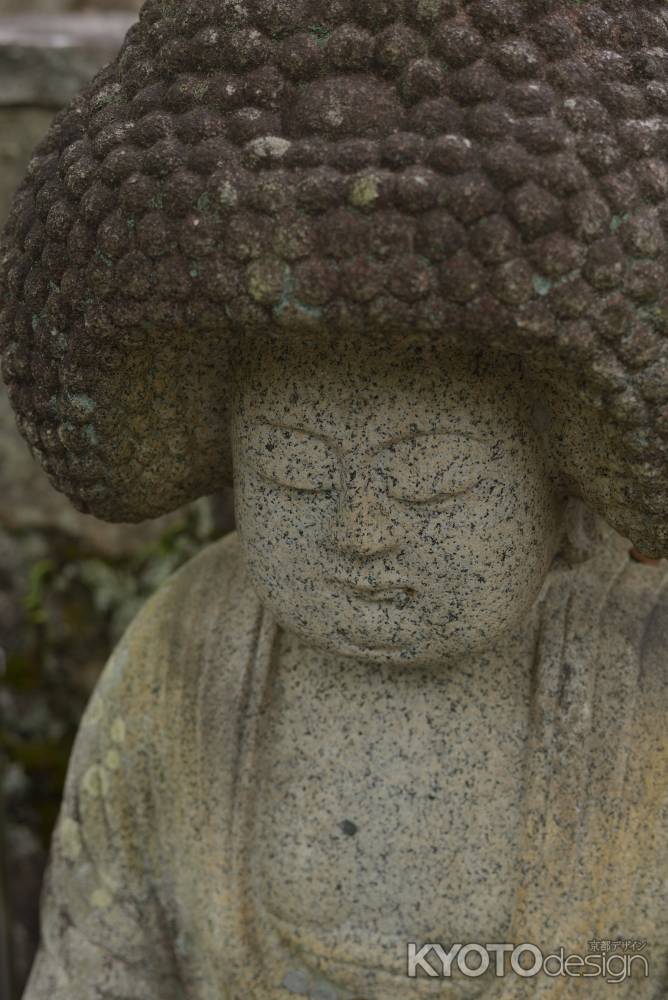 金戒光明寺のアイドル_２