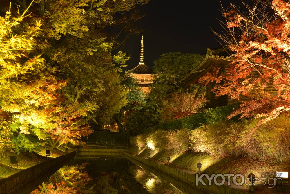 お出迎え_東寺・夜間拝観