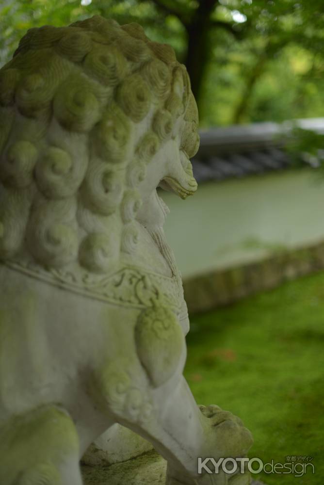 永観堂の獅子孔座像
