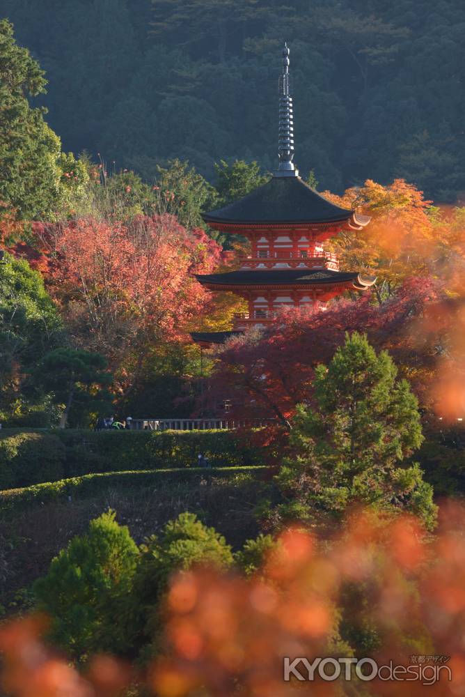 紅葉に囲まれた子安の塔