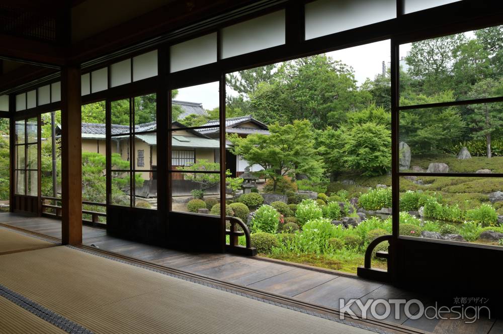 半夏生の庭園＿両足院