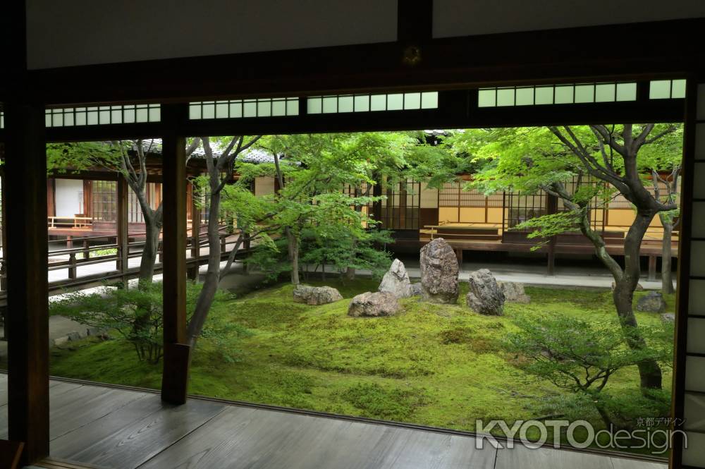 初夏の潮音庭＿建仁寺