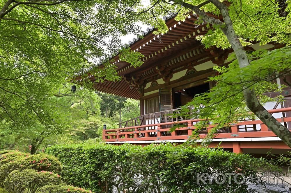 新緑に囲まれた観音堂＿醍醐寺