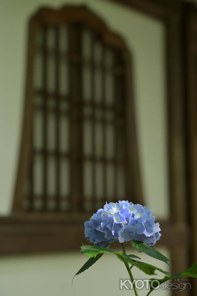 紫陽花園＿真如堂