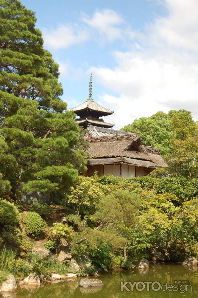 仁和寺庭園