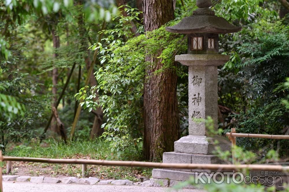 下鴨神社３