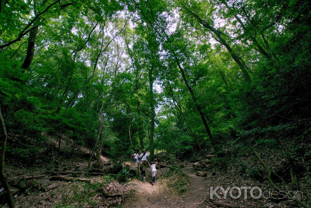 大文字山にて。