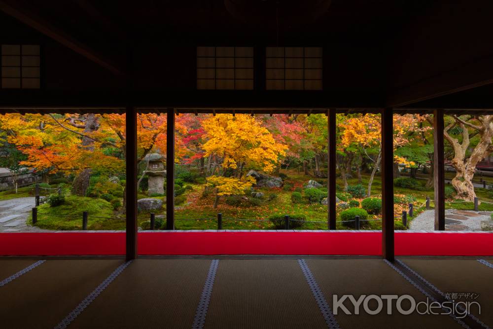 圓光寺の紅葉