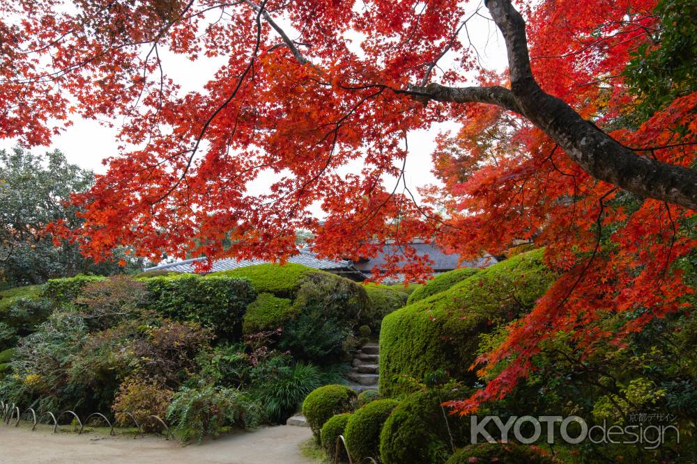 紅葉の詩仙堂