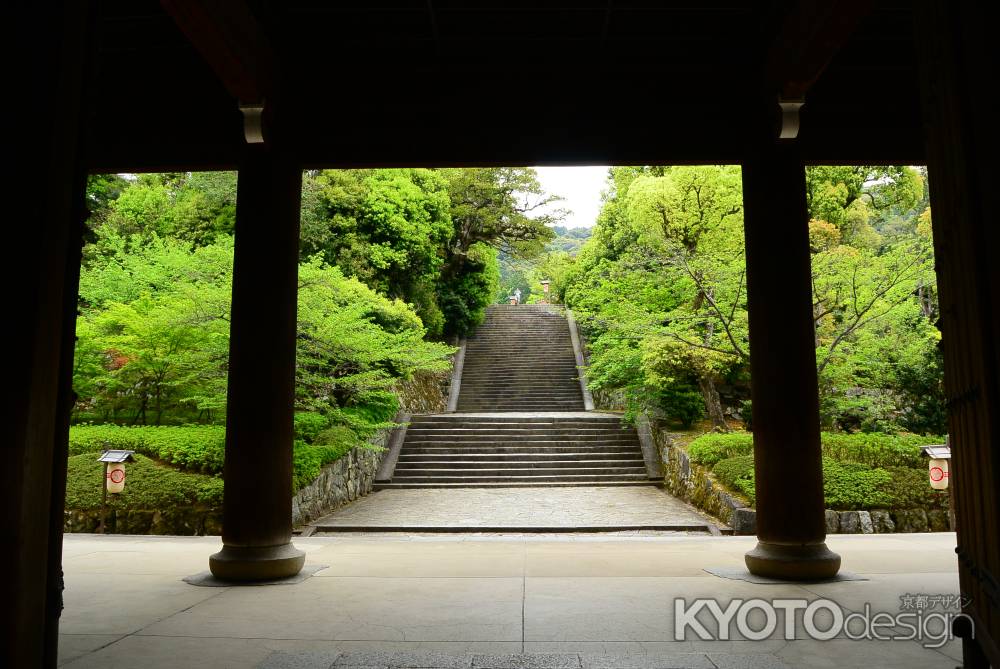 山門　男坂の新緑