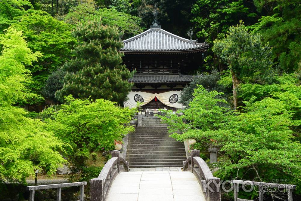 真実というのは もろもろの虚仮の 心なきをいう