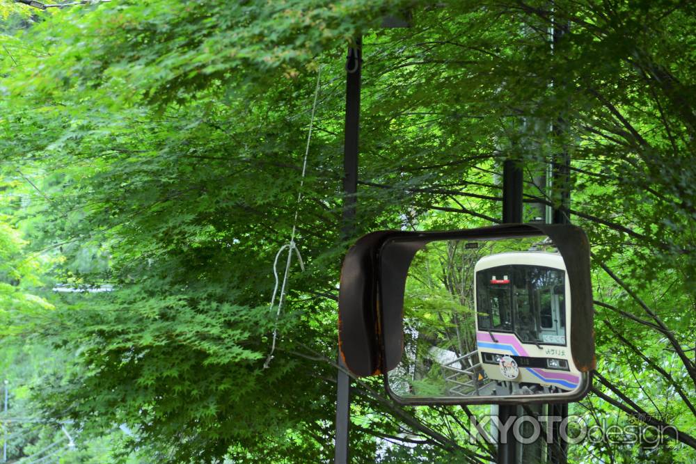 緑のミラーに…