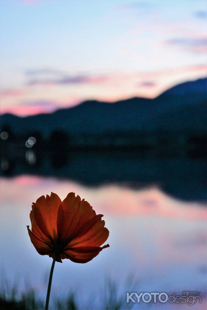 嵯峨野山々…夕涼み