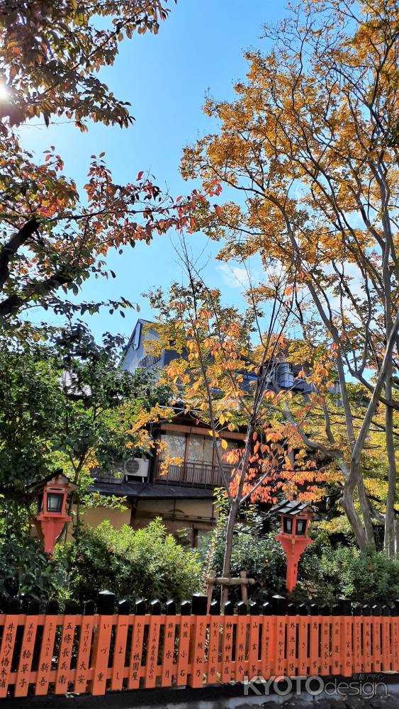 祇園白川畔の秋