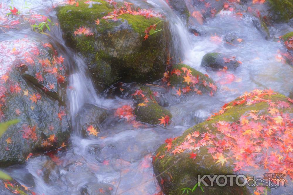 鴨の河原の水やせて