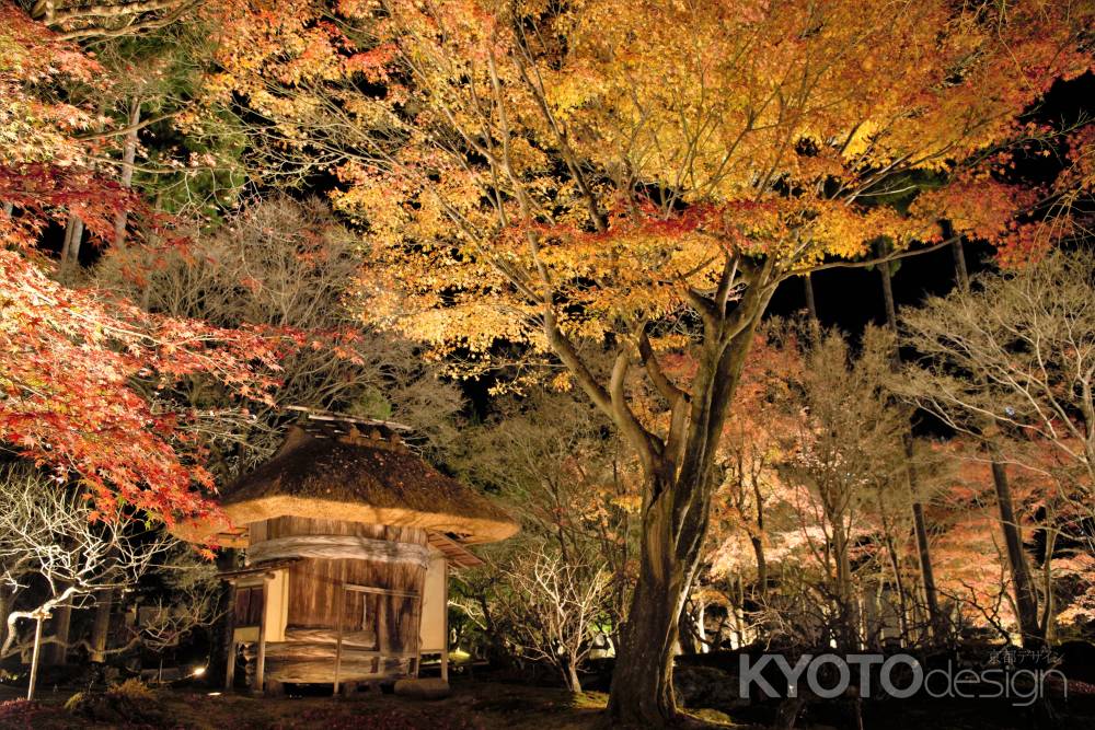 酒樽茶室の晩秋