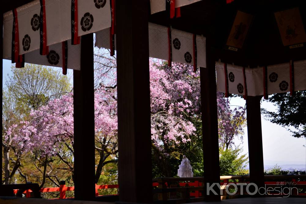 けんくんさんの春