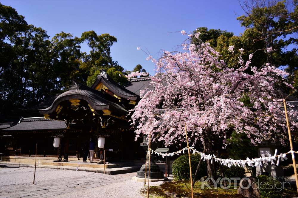 紫野御霊会の春