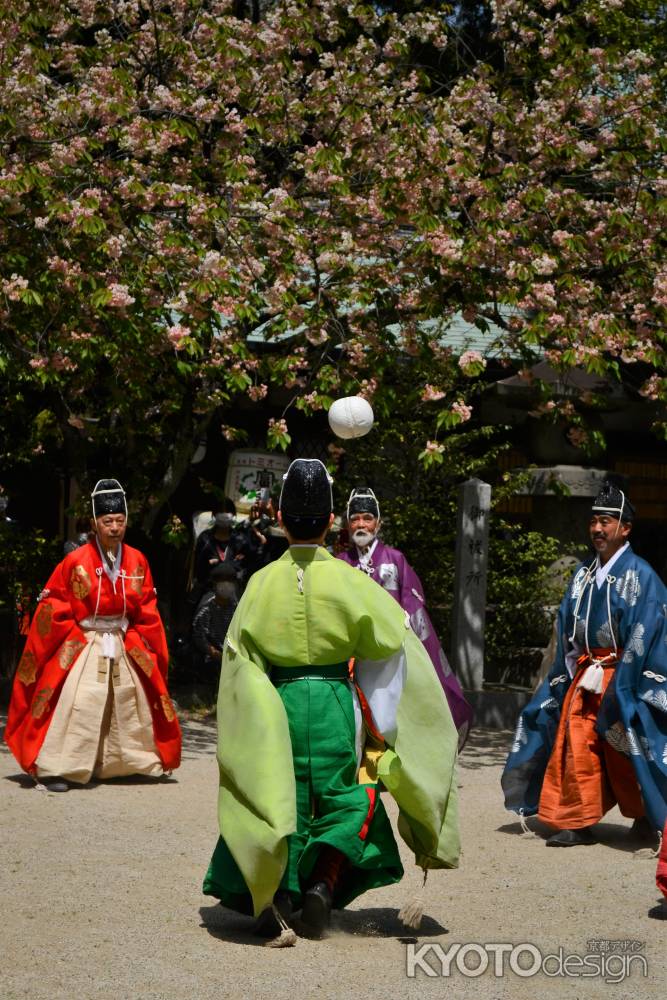 萌黄色装束　風光る