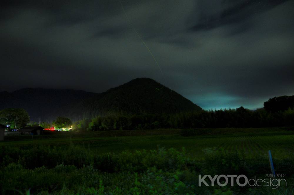 田んぼに舞う　ホタル