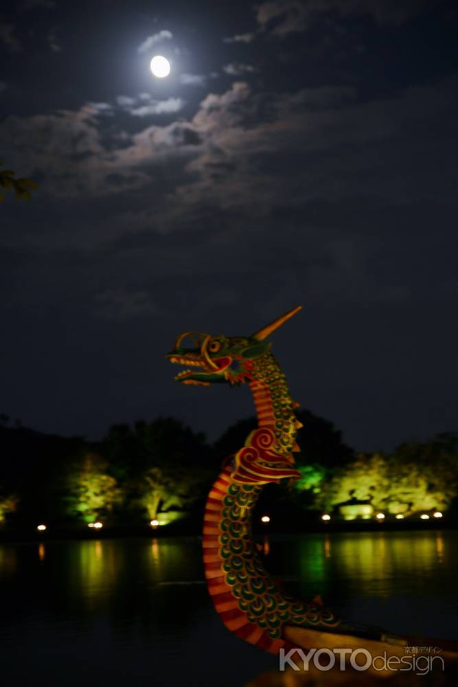 煌々と月と龍