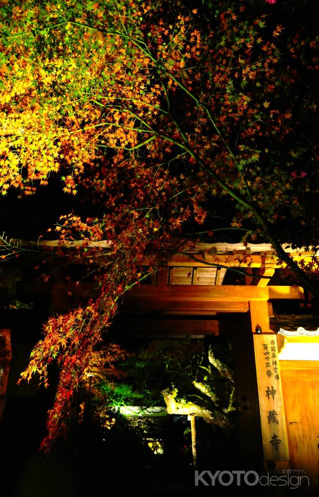 山門　ライトアップ