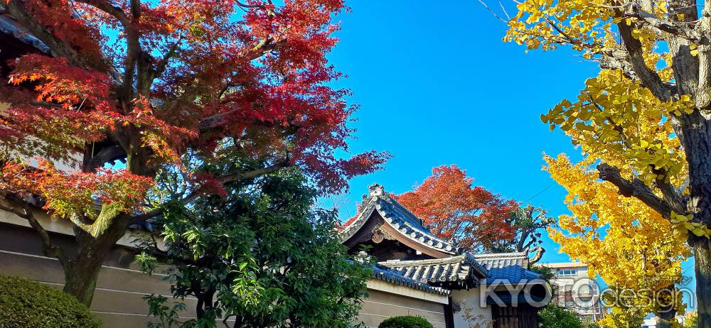 上品蓮台寺さん　秋　2023