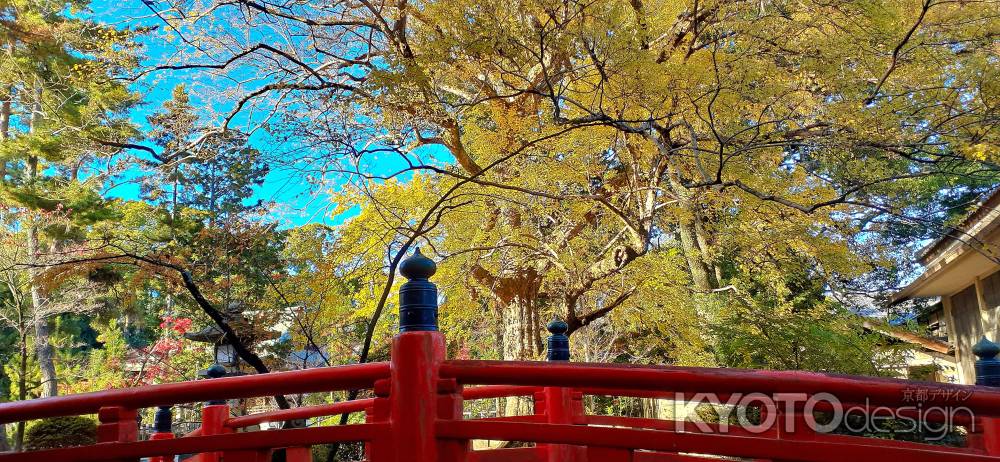 今宮神社さん　秋　2023