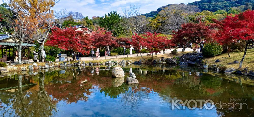 円山公園　秋　2023