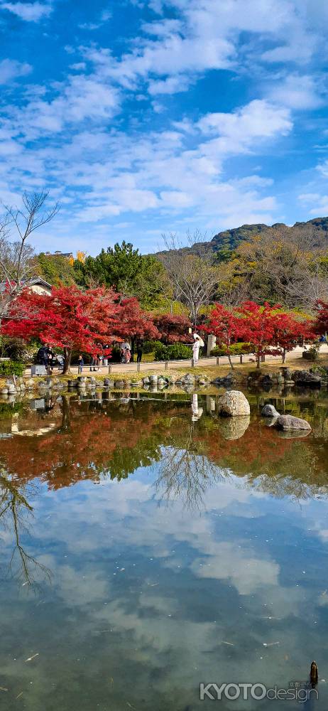 ひょうたん池　紅葉見頃