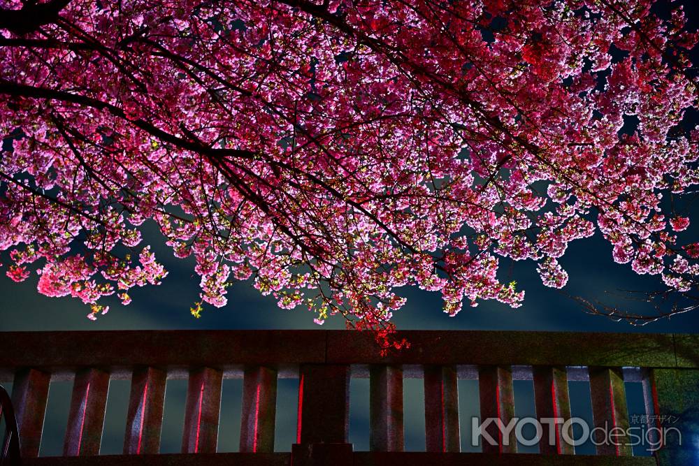 一条戻橋　堀川から