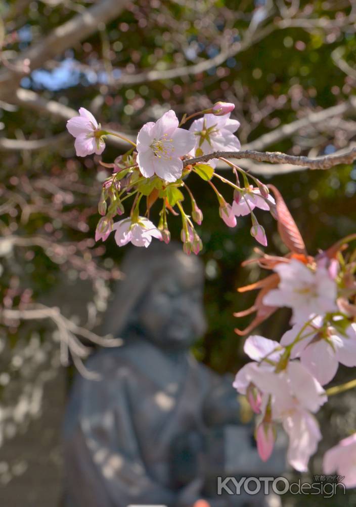 春のおかめさん