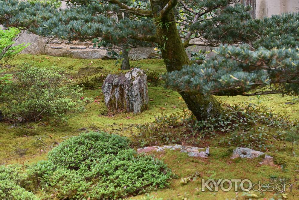 石と違うんです