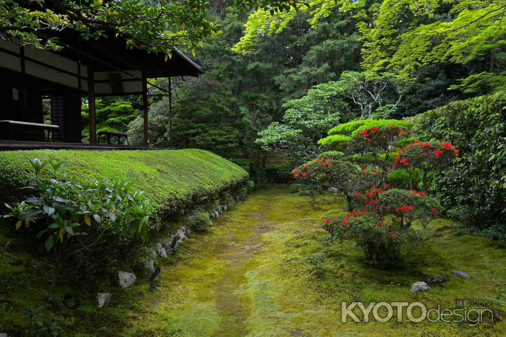 真如の庭　つつじの大刈込