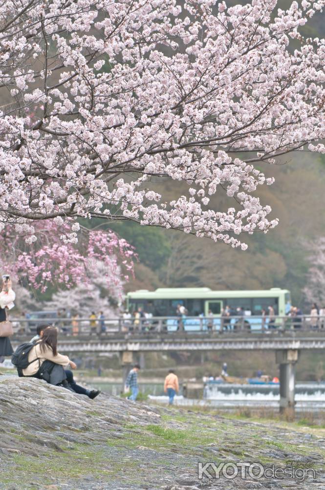 春爛漫の嵐山