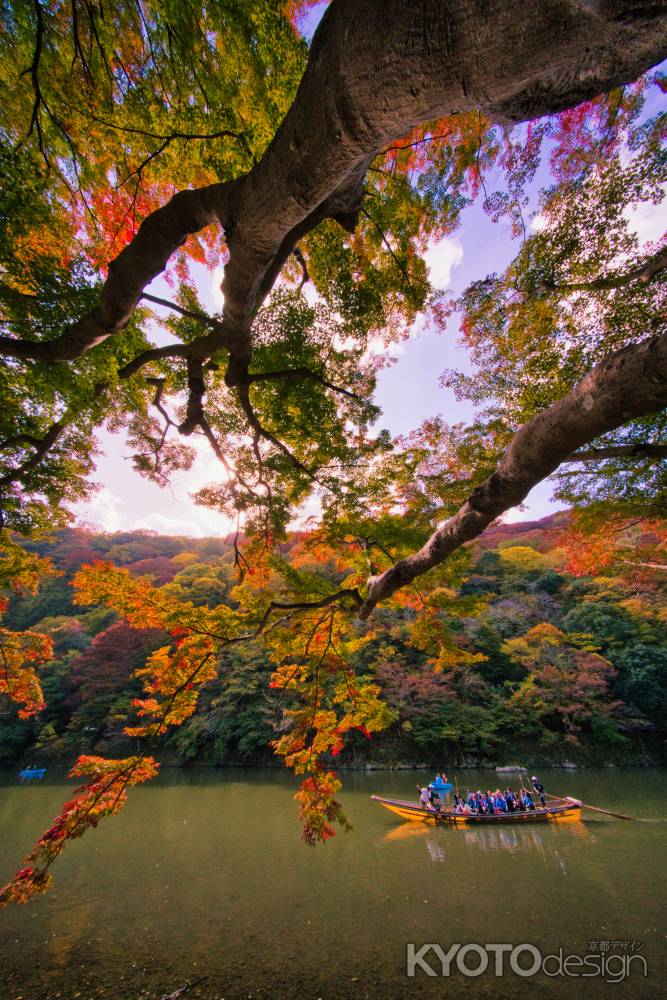 色づき始めた嵐山