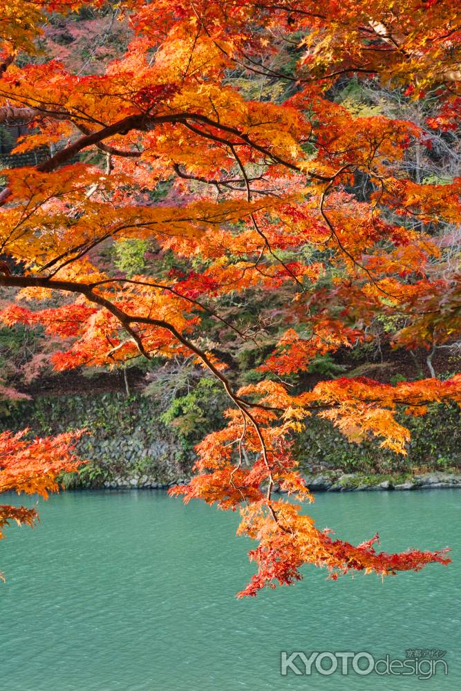 嵐山の紅葉