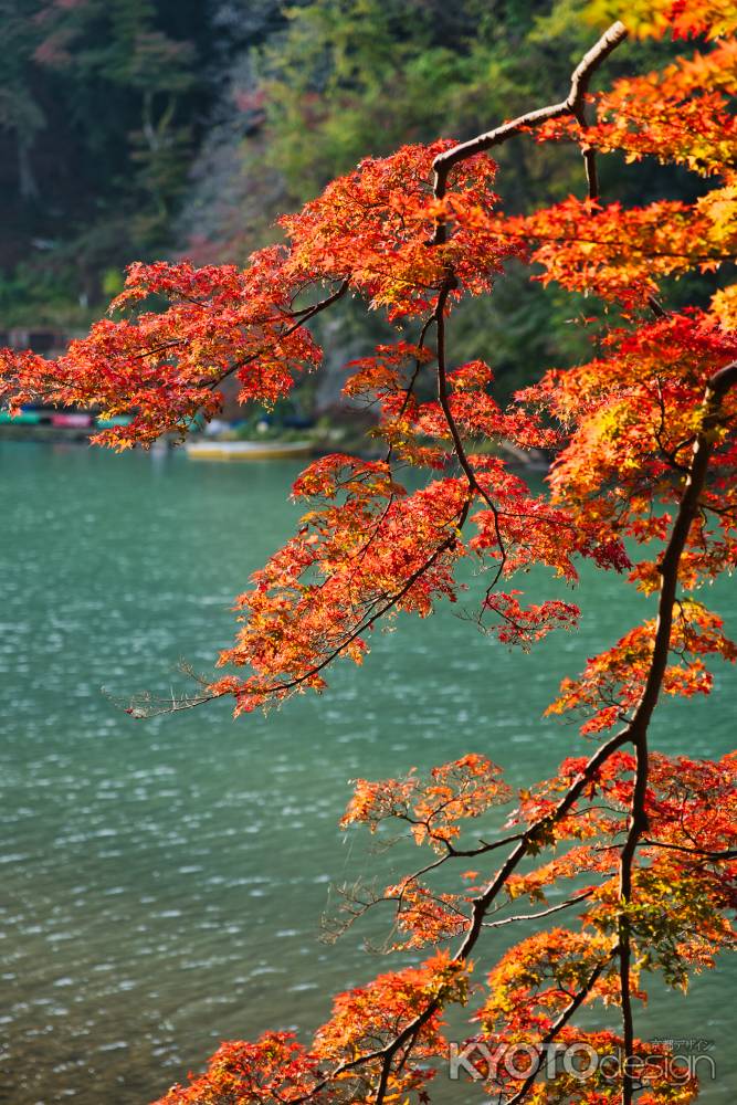 嵐山の紅葉