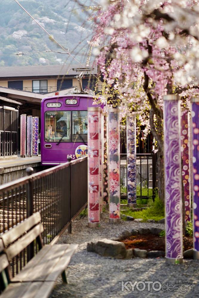 キモノフォレストの桜