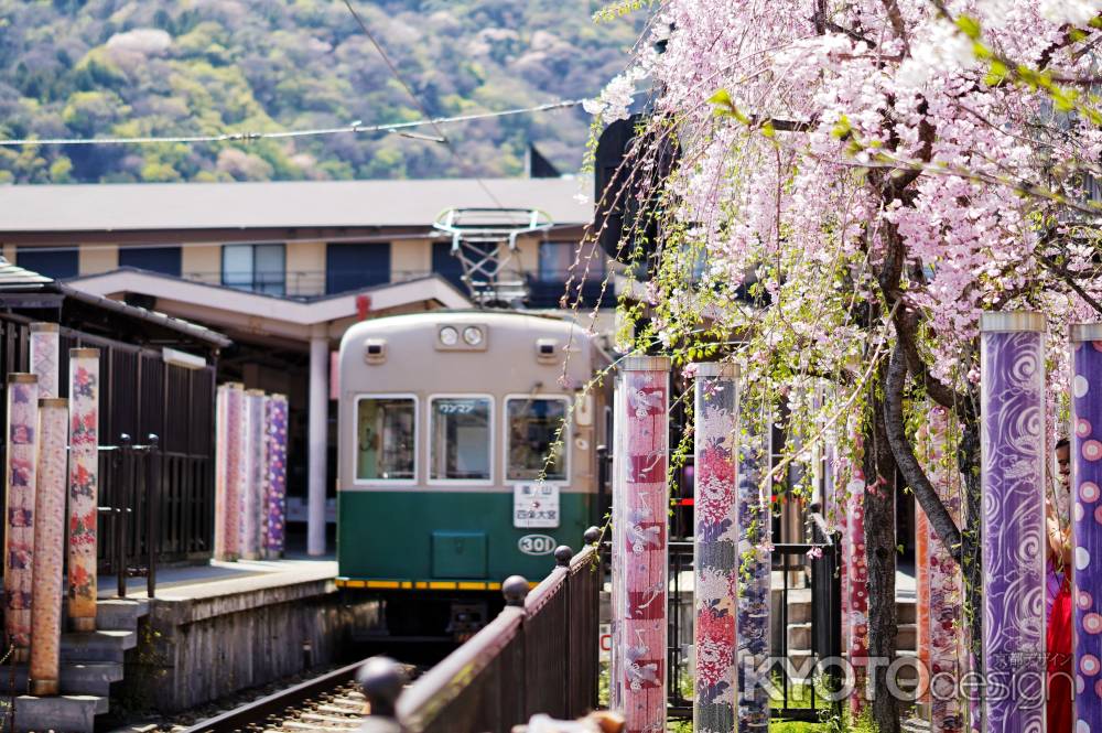 キモノフォレストの桜2