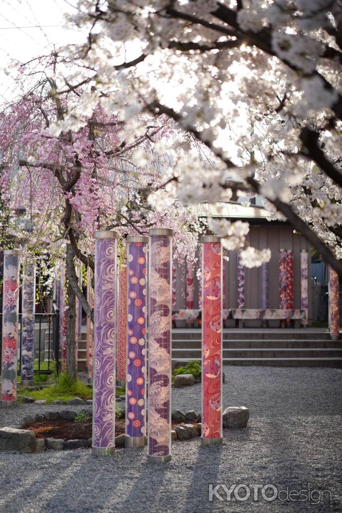 キモノフォレストの桜3