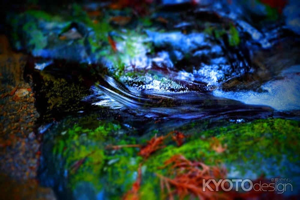 せせらぎを聴く